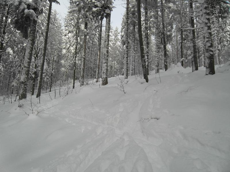 Arber 2010 Skitour mit Daniel 002.jpg