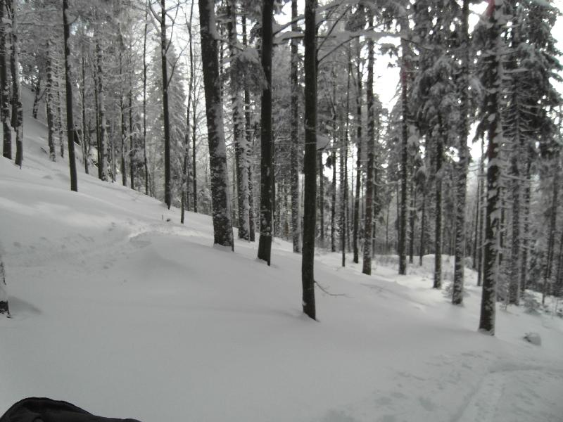 Arber 2010 Skitour mit Daniel 003.jpg