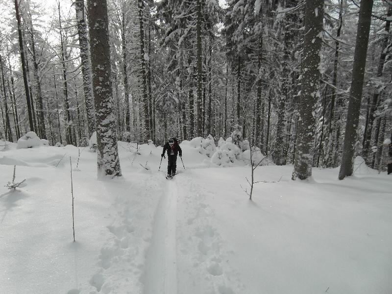 Arber 2010 Skitour mit Daniel 005.jpg