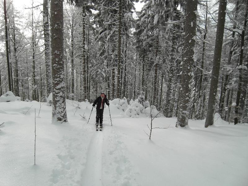 Arber 2010 Skitour mit Daniel 006.jpg
