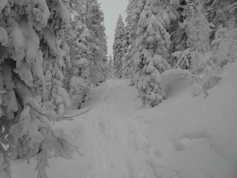 Arber 2010 Skitour mit Daniel 008.jpg