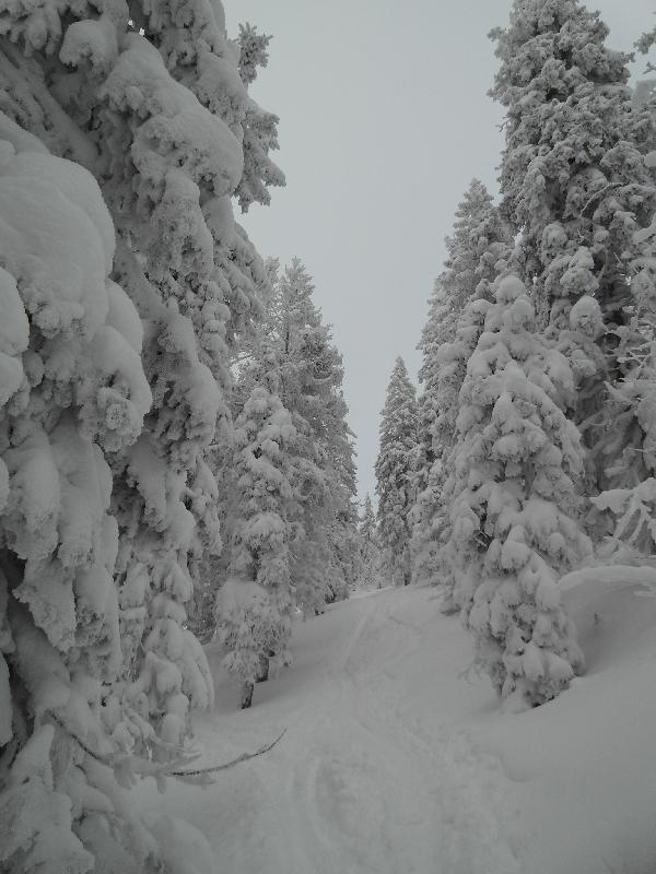 Arber 2010 Skitour mit Daniel 009.jpg