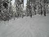 Arber 2010 Skitour mit Daniel 002.jpg