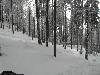 Arber 2010 Skitour mit Daniel 003.jpg
