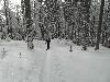Arber 2010 Skitour mit Daniel 005.jpg