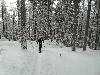 Arber 2010 Skitour mit Daniel 006.jpg