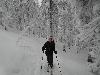 Arber 2010 Skitour mit Daniel 007.jpg