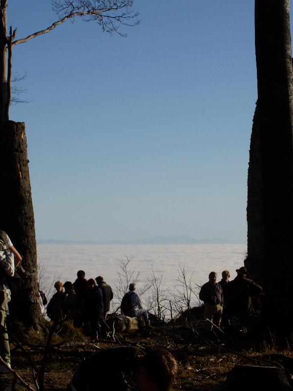 Alpen