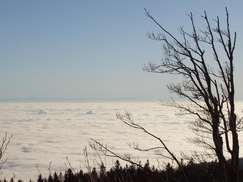 Nebel