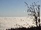 Nebel