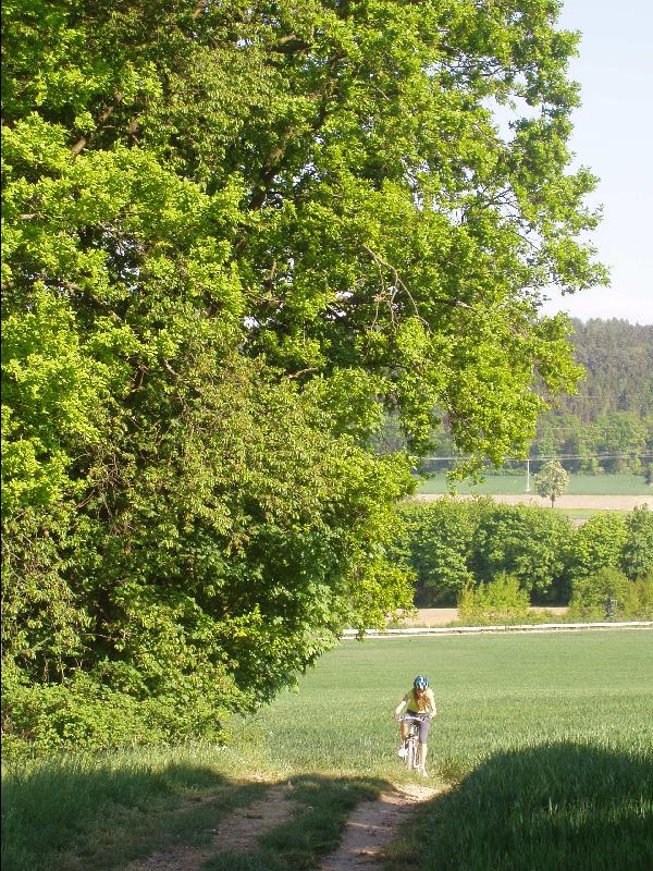 Aufsteigerin