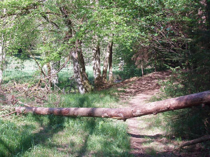 Ausweichmanver