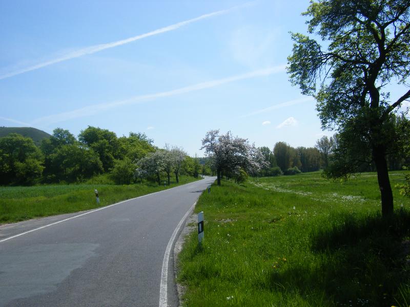 Kirschen