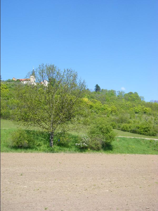 Burgen
