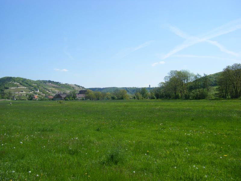 Landschaft