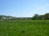 Landschaft