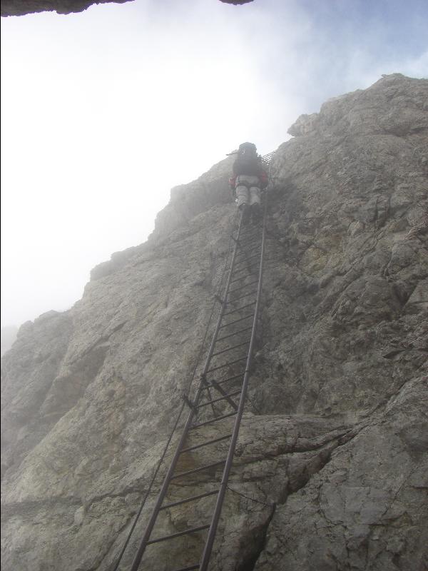 der Nebel...