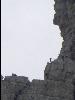 Aufsteiger