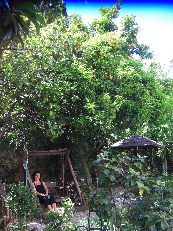 Dos Anjos Garten
