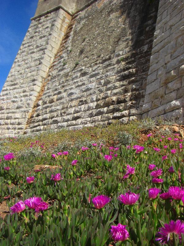 Blumen