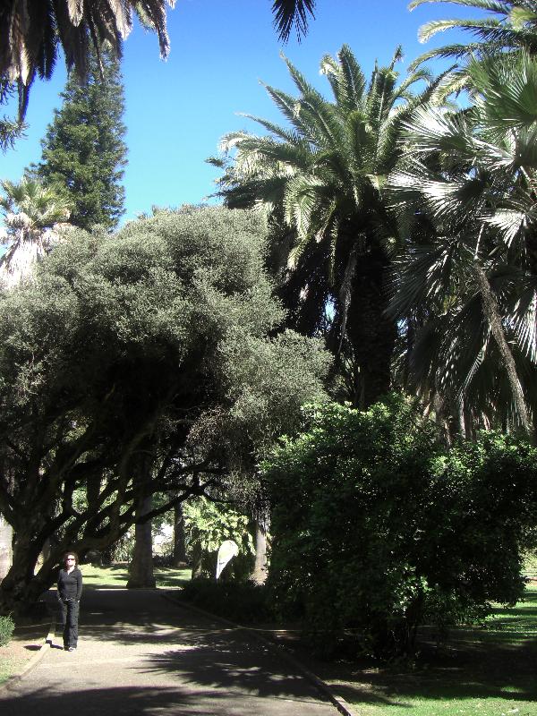 botanischer Garten
