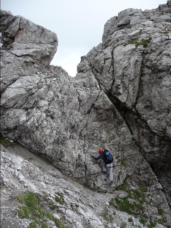 Steig