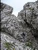 Steig