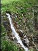 Wasser