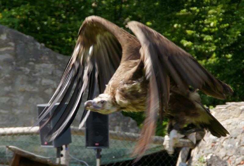 Abflug