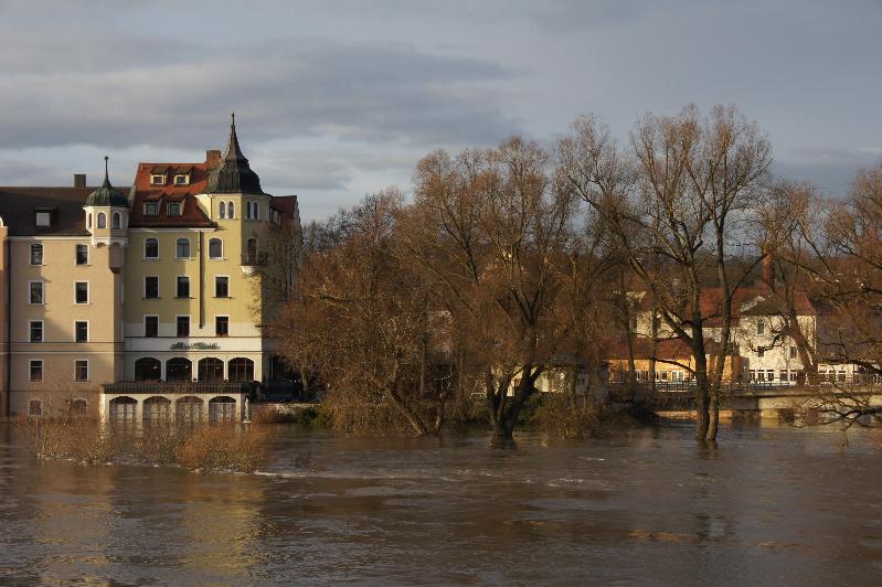 Alte Linde
