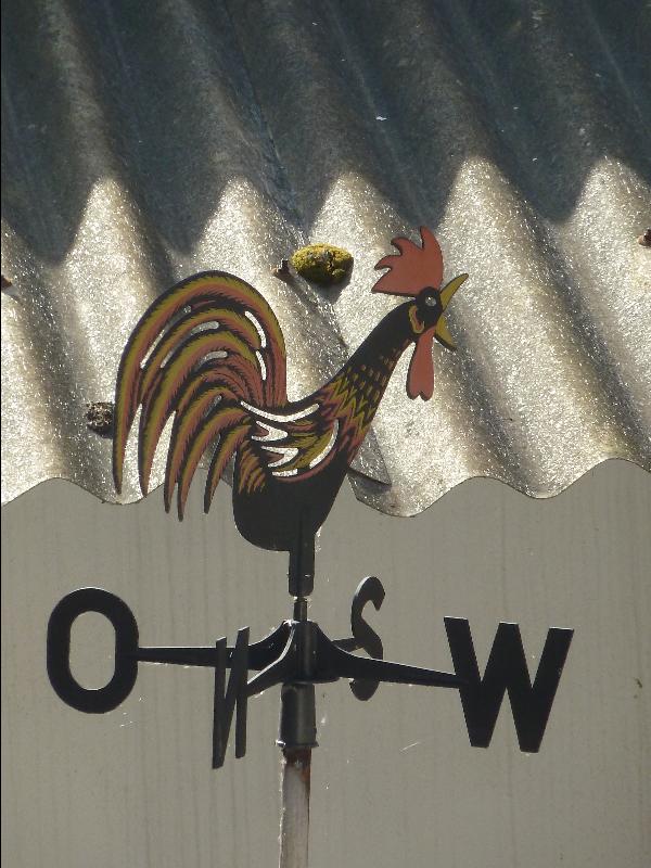 Wetterhahn