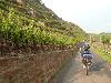 Weinradeln