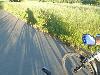 Langschatten