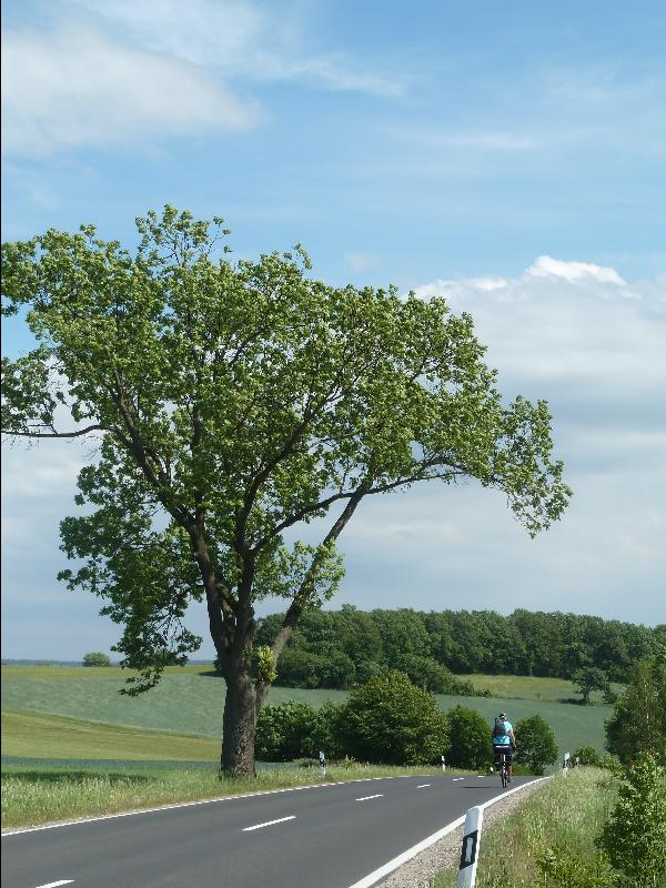 Traumradeln