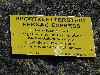 Schild
