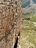 Granit