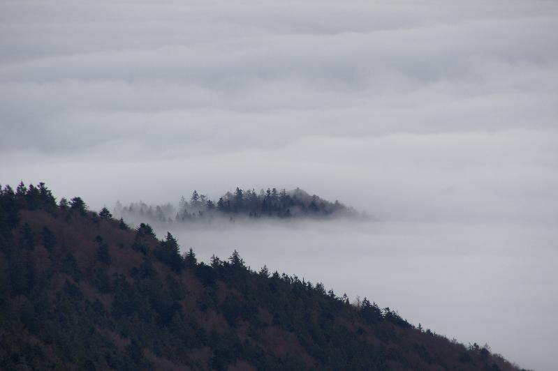 Nebelblick