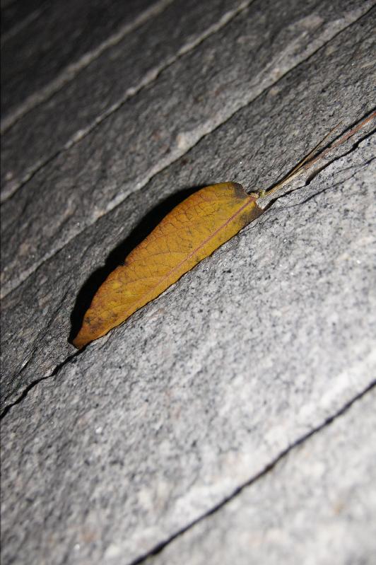 Granitspalter