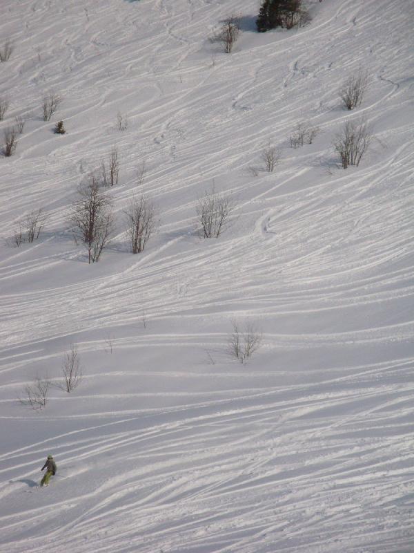 Freeride III