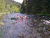 Hinaus auf's Meer!