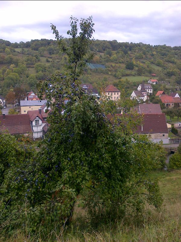 Talblick