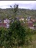 Talblick