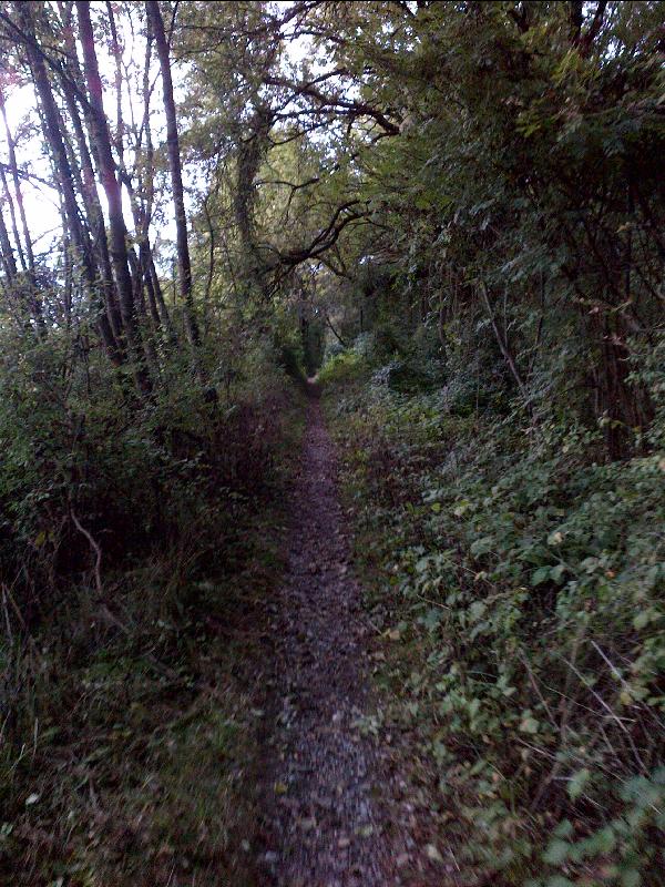 Trail