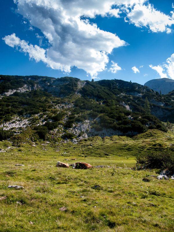 Natur