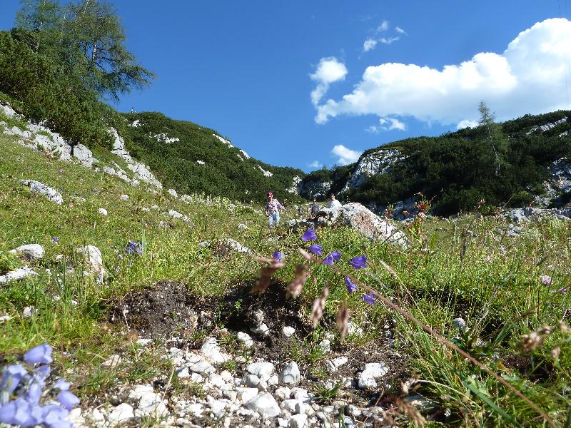 Natur