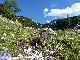 Natur