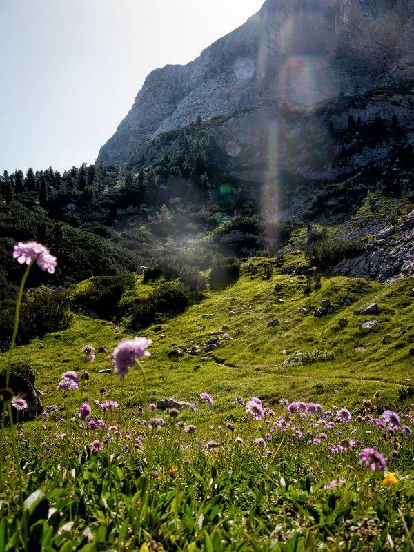Natur