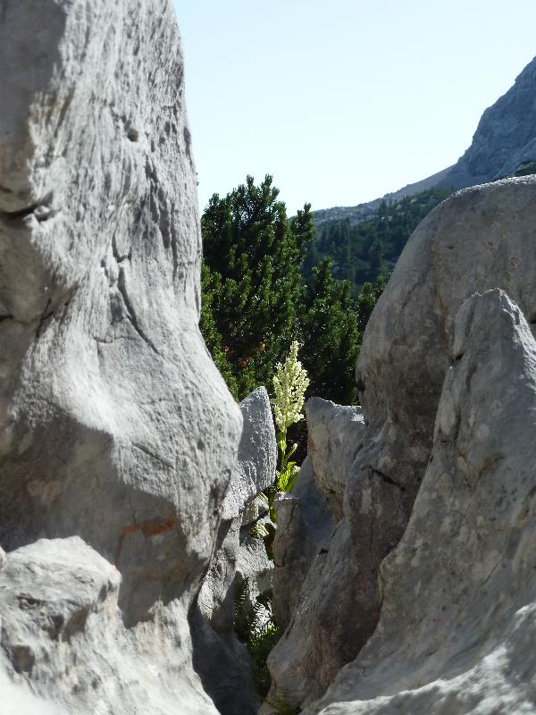 Karstschlucht I