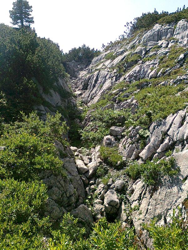 Rinnen