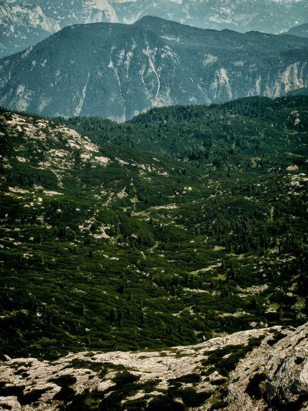 Berge